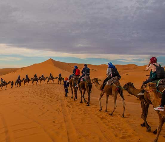 Desert Tours with Group from Marrakech