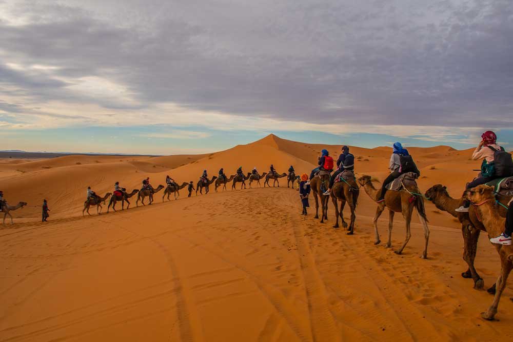  Group Tour Desert and camel Adventure from Marrakech to Merzouga