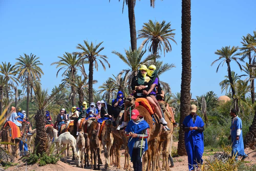 camel ride activity in marrakech