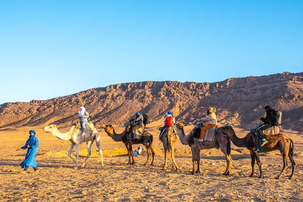  camel ride in zagora