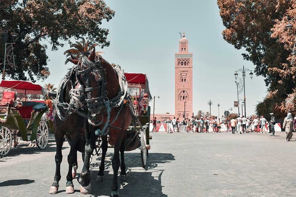 visite Koutoubia Mosque