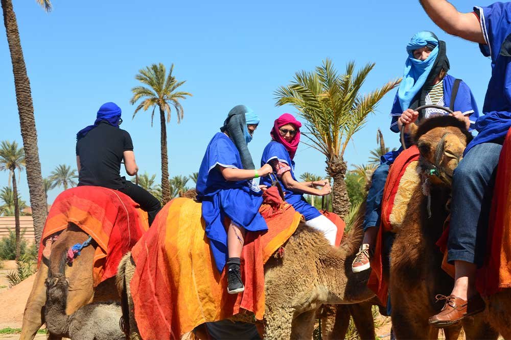 tour with group camel ride